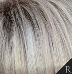 Bennett Wig by Tony of Beverly | Synthetic Wig (Lace Front Mono Top)