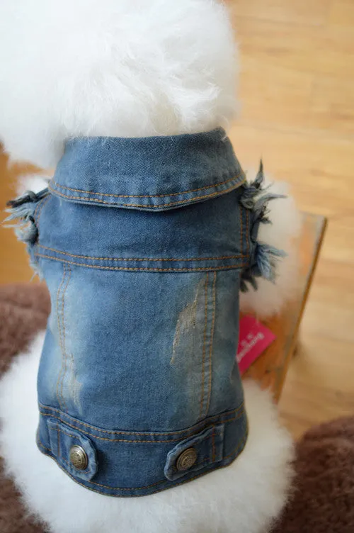 Dog clothes pet autumn and winter cowboy clothing C4B