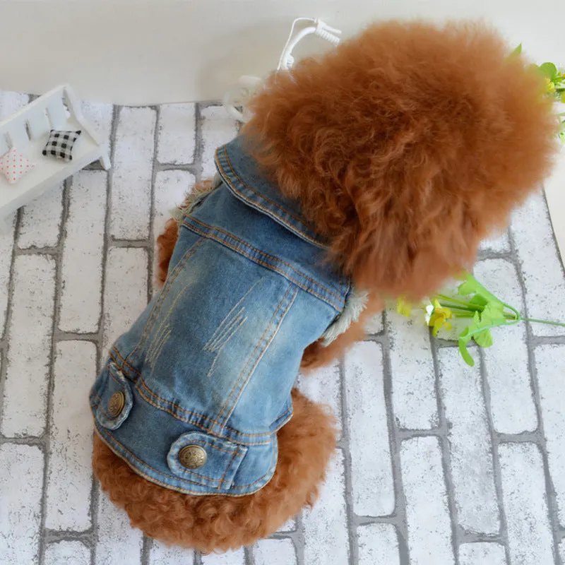 Dog clothes pet autumn and winter cowboy clothing C4B