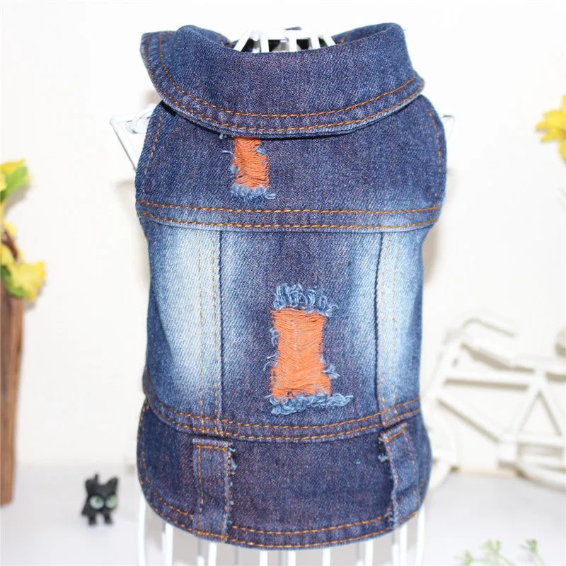 Dog clothes pet autumn and winter cowboy clothing C4B
