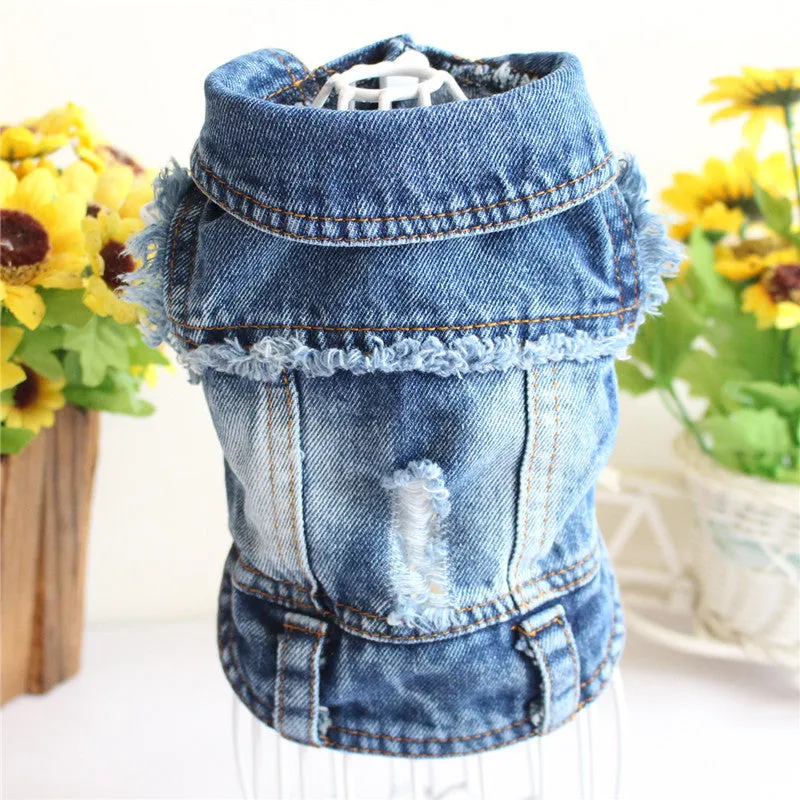 Dog clothes pet autumn and winter cowboy clothing C4B