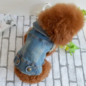 Dog clothes pet autumn and winter cowboy clothing C4B