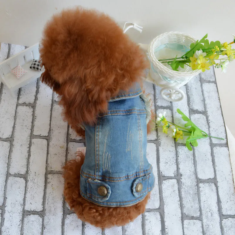Dog clothes pet autumn and winter cowboy clothing C4B