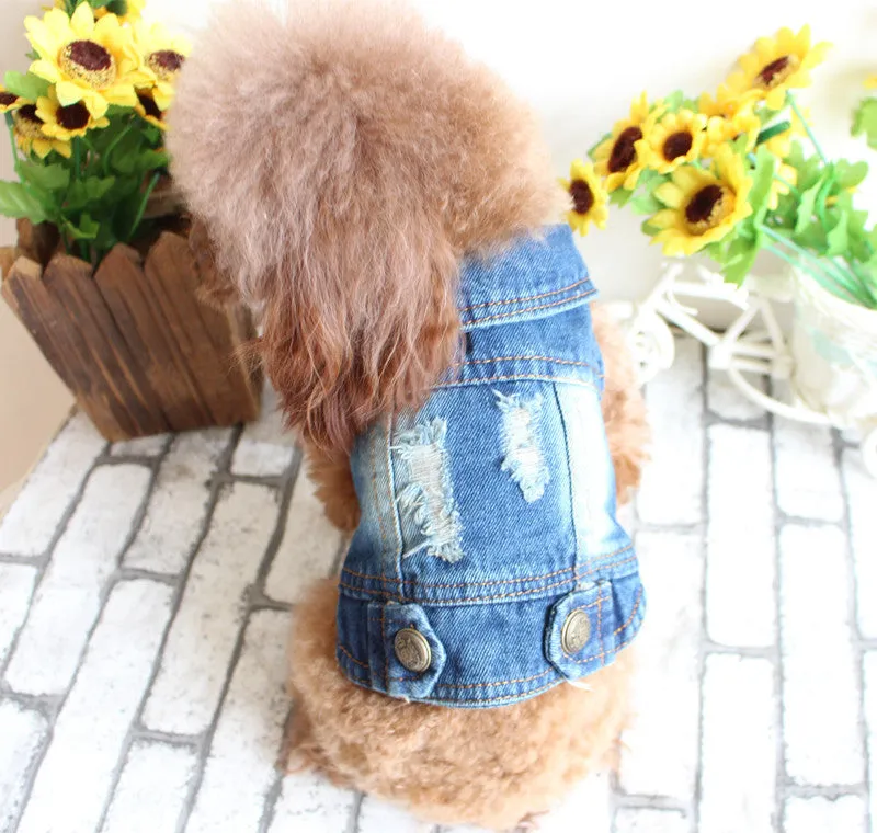 Dog clothes pet autumn and winter cowboy clothing C4B