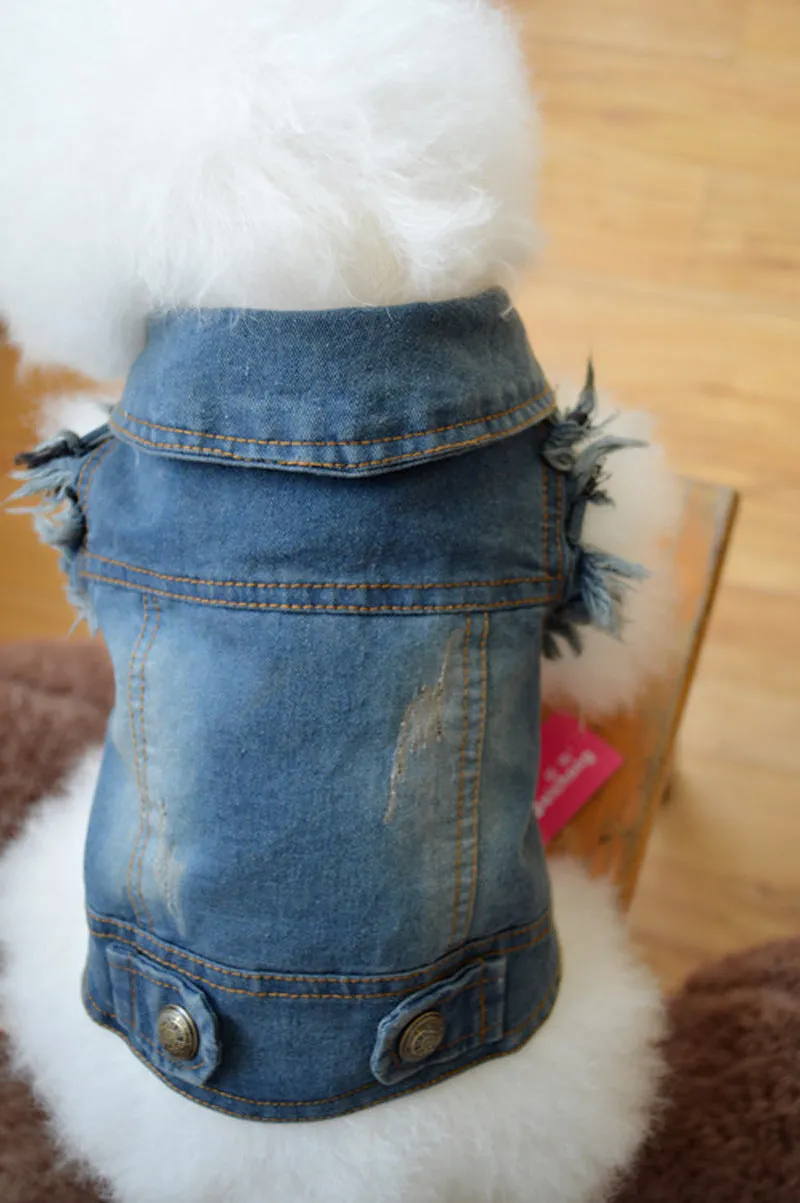 Dog clothes pet autumn and winter cowboy clothing C4B