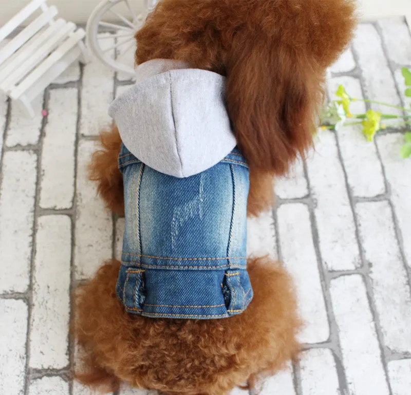 Dog clothes pet autumn and winter cowboy clothing C4B