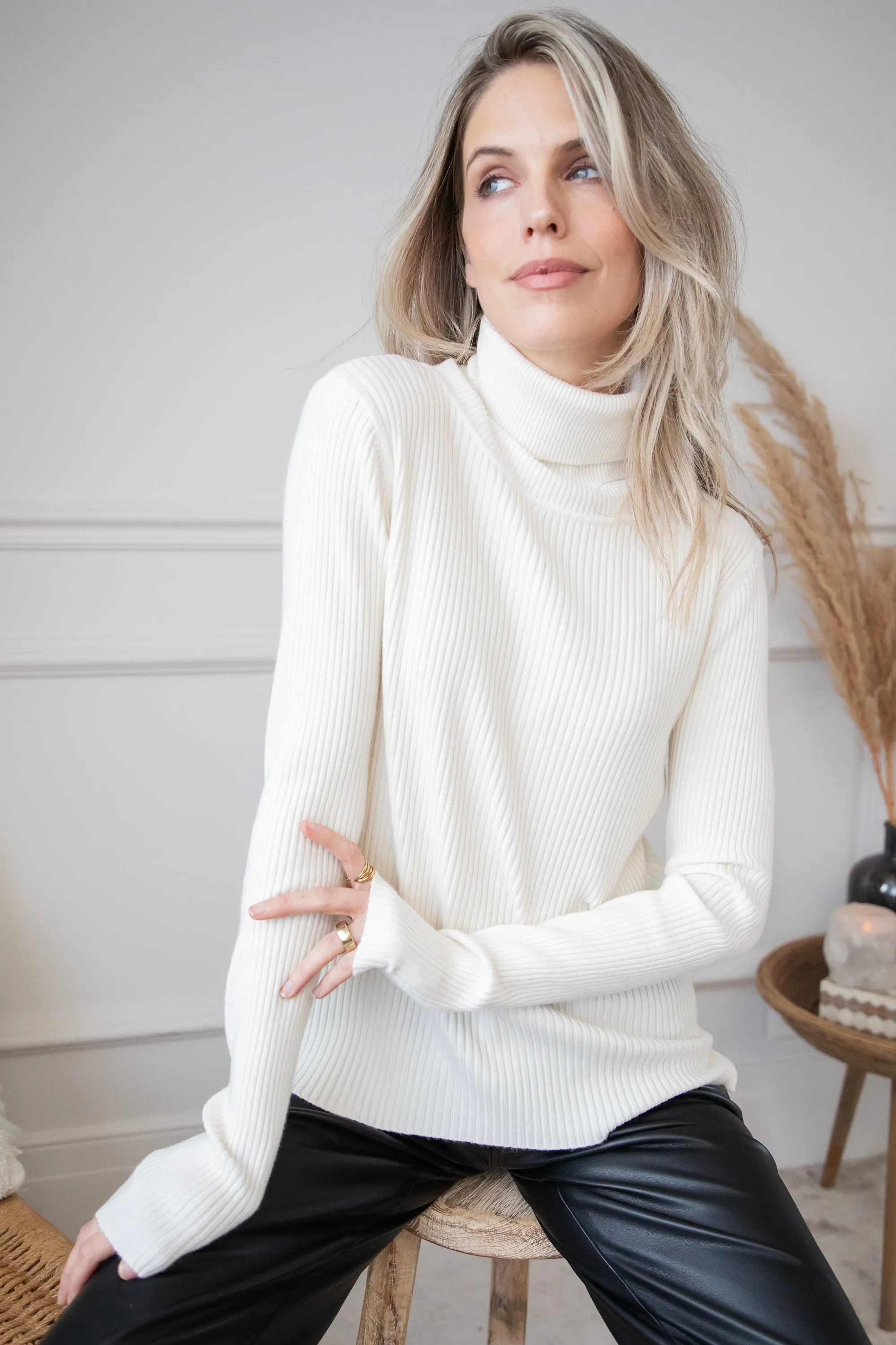 Maxime Turtle Neck Beige - Trui