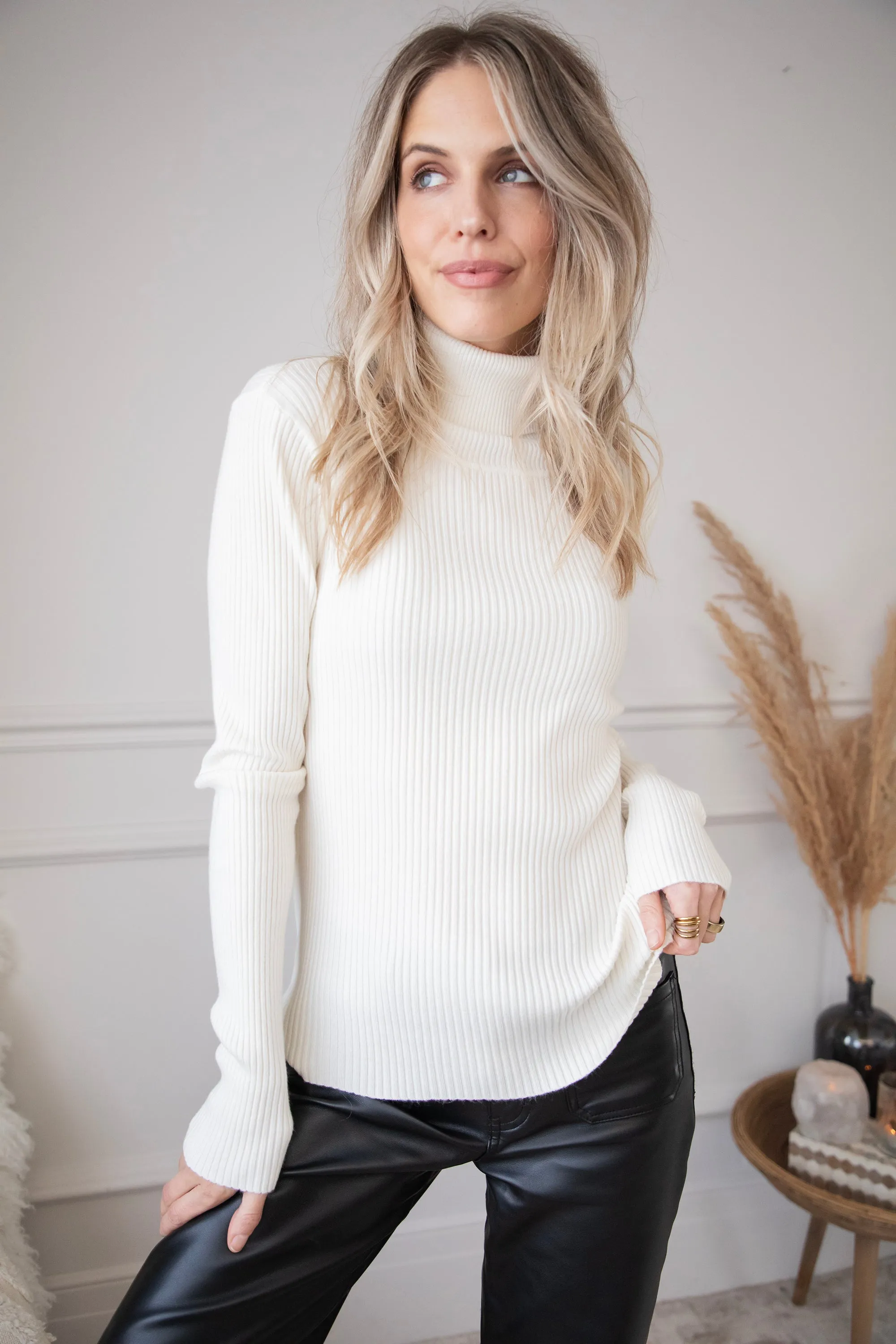 Maxime Turtle Neck Beige - Trui