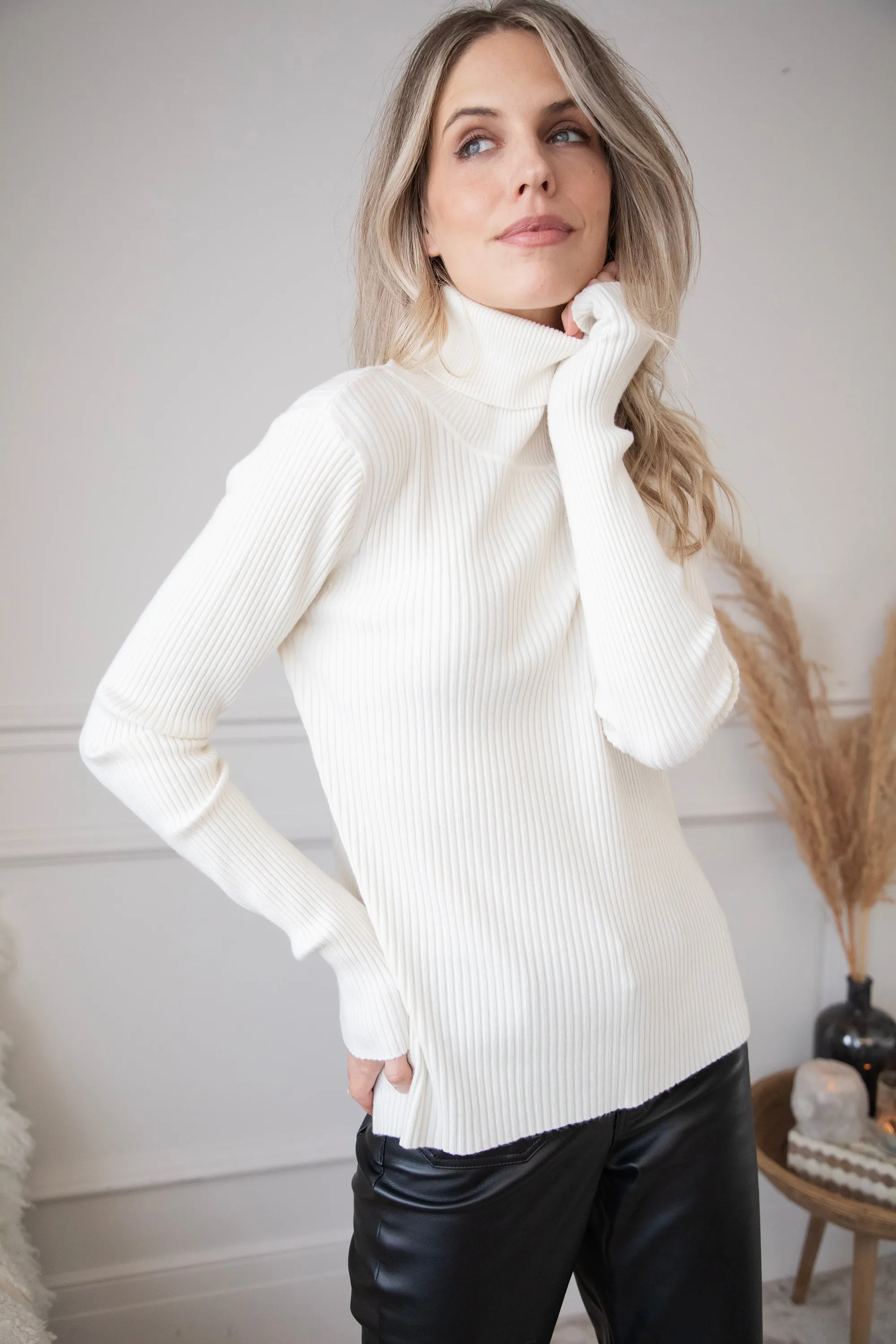 Maxime Turtle Neck Beige - Trui