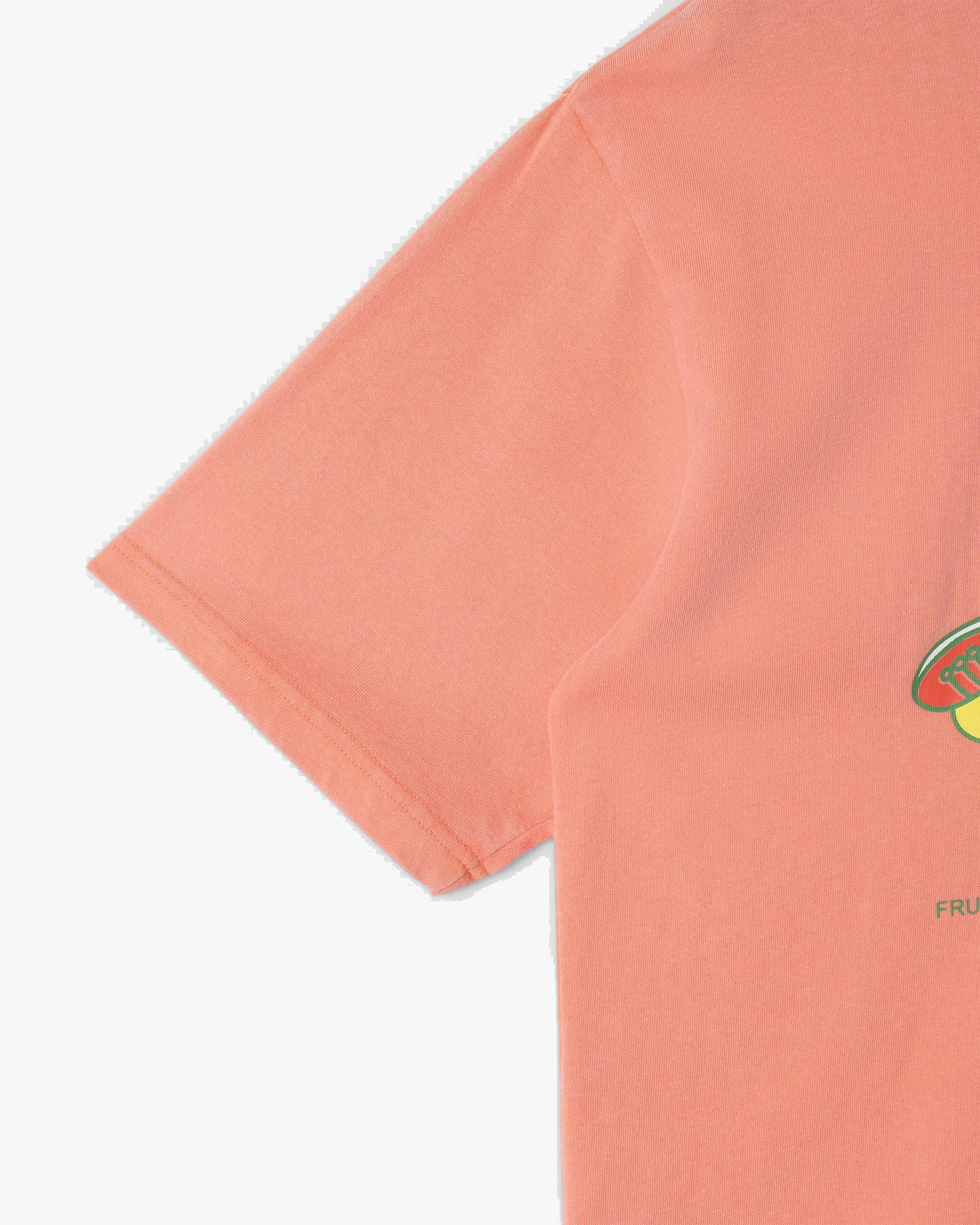 Stan Ray Stan Dunk Tee - Washed Red